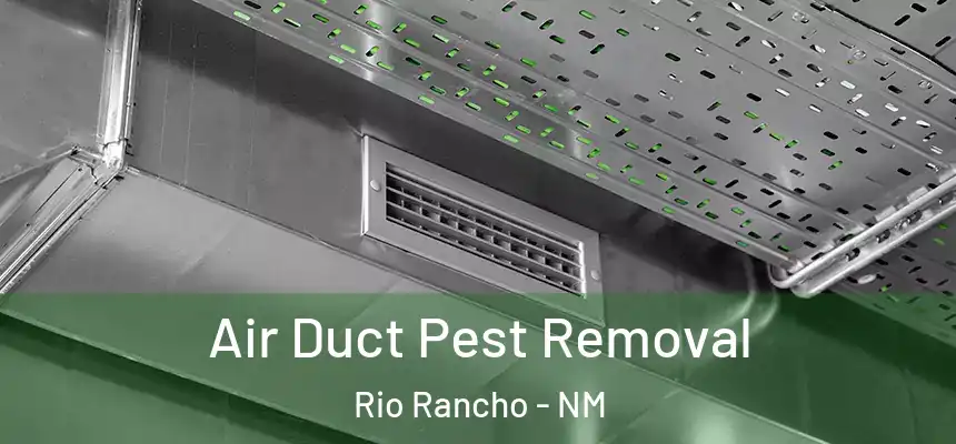  Air Duct Pest Removal Rio Rancho - NM
