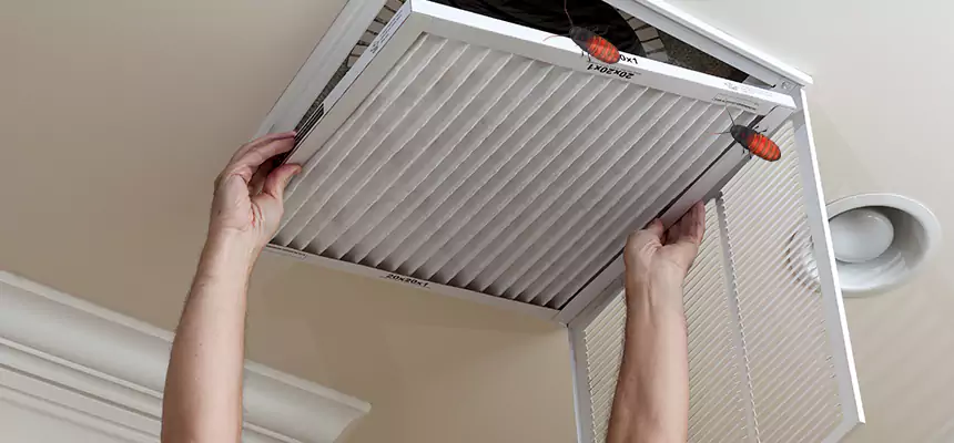 Preventive Cockroach-Proofing for Ducts in Rio Rancho