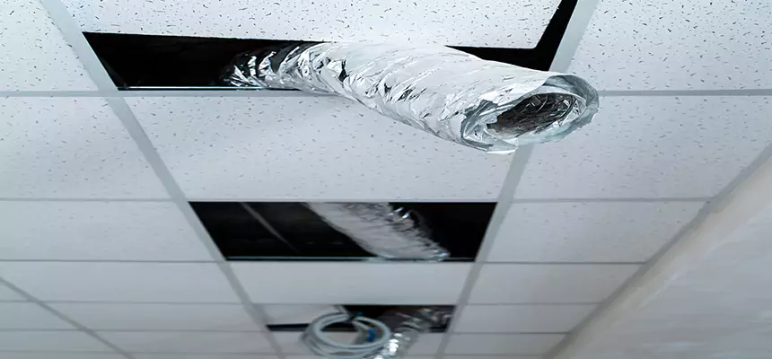 Affordable HVAC Sanitizing After Pest Removal in Rio Rancho