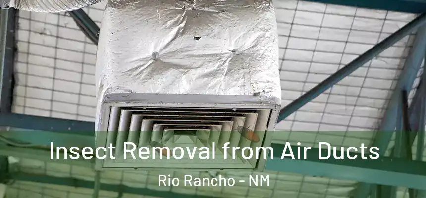 Insect Removal from Air Ducts Rio Rancho - NM