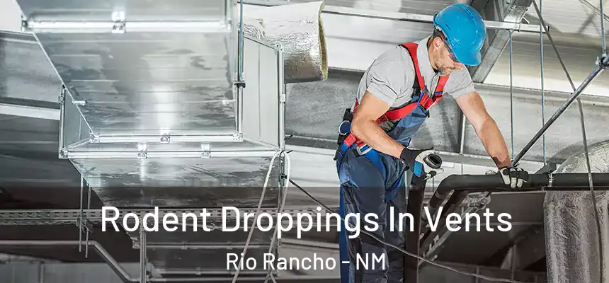 Rodent Droppings In Vents Rio Rancho - NM
