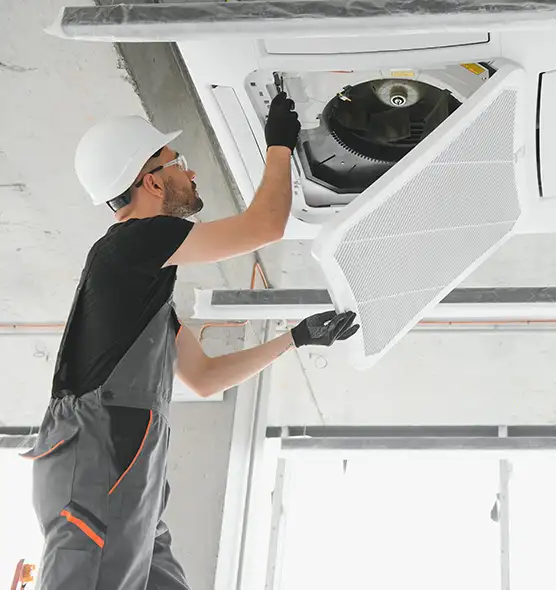 About Air Duct Rodent Removal in Rio Rancho, NM