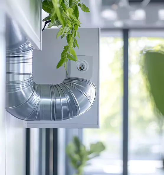 Professional Eco-Safe Dryer Vent Cleaning in Rio Rancho, NM