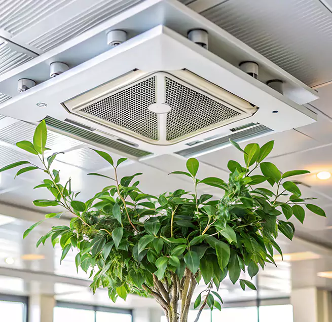 Why Homeowners & Businesses Trust Us in Rio Rancho, NM?